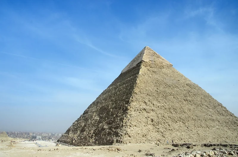 Erreur n°1 : négliger la préparation du sol