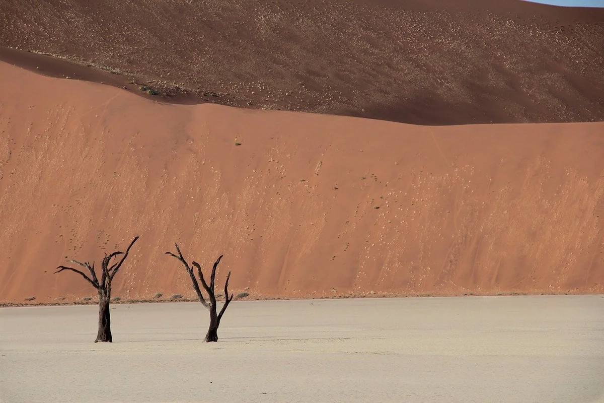 Étape 3 : Isolation et climat : la bataille invisible